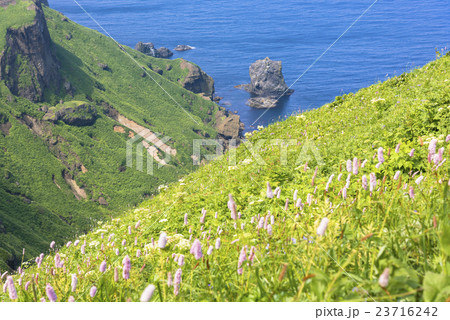 礼文島の桃岩散策路 礼文島の桃岩散策路 23716242