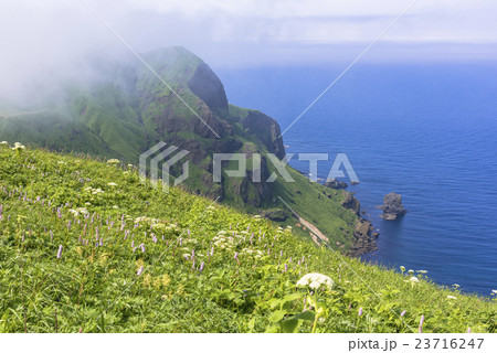 礼文島の桃岩散策路 23716247