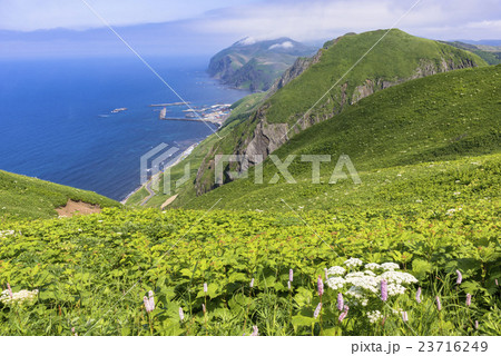 礼文島の桃岩散策路 23716249