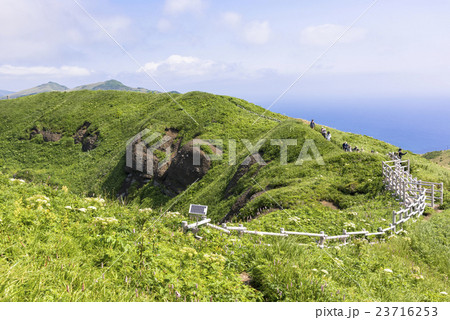 礼文島の桃岩散策路 23716253
