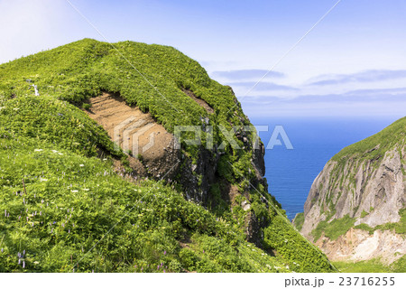 礼文島の桃岩散策路 23716255