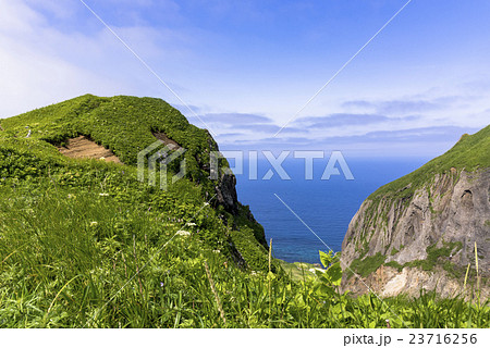 礼文島の桃岩散策路 礼文島の桃岩散策路 23716256