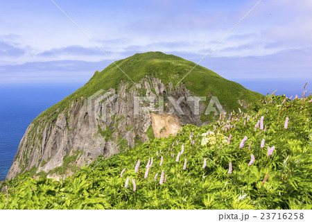 礼文島の桃岩散策路 23716258