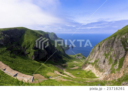礼文島の桃岩散策路 23716261