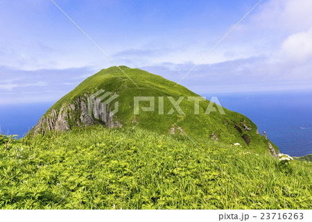 礼文島の桃岩散策路 23716263
