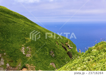 礼文島の桃岩散策路 礼文島の桃岩散策路 23716264