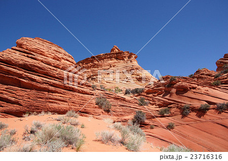 ヴァーミリオンクリフス国定公園 サウスコヨーテビュート アリゾナの写真素材