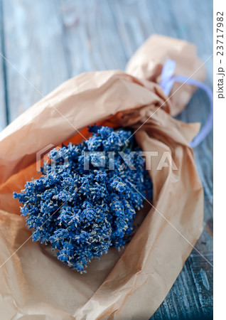 Lavender - bunch of lavender flowers Lavender - bunch of lavender flowers 23717982