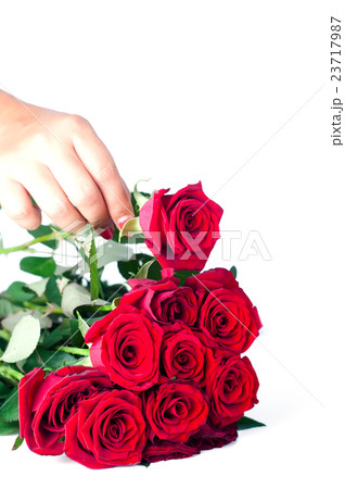 bouquet of roses 23717987