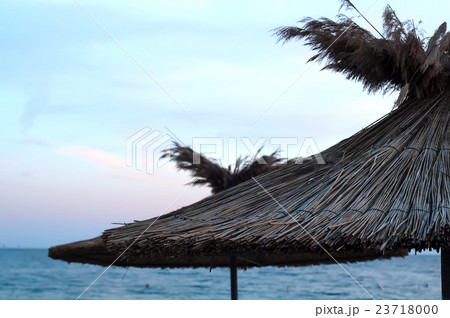 many sun umbrellas in the warm sandy beach 23718000