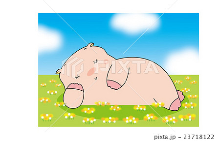 寝ているぶたさん　ねぶたさん 23718122