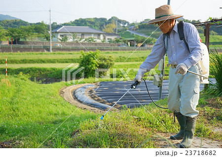 草刈機で草刈りをする高齢者 農作業 農業 おじいさん おばあさん 農家 栽培 23718682