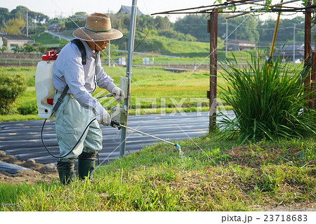 草刈機で草刈りをする高齢者 農作業 農業 おじいさん おばあさん 農家 栽培 23718683