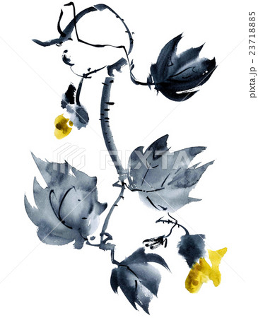 Yellow flower illustration.. 23718885