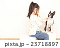 ボストンテリア聴診器 23718897