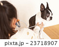 ボストンテリア聴診器 23718907