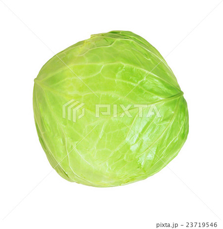 cabbage isolated 23719546