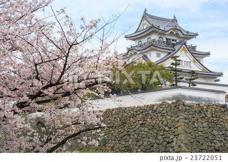 桜と岸和田城 23722051