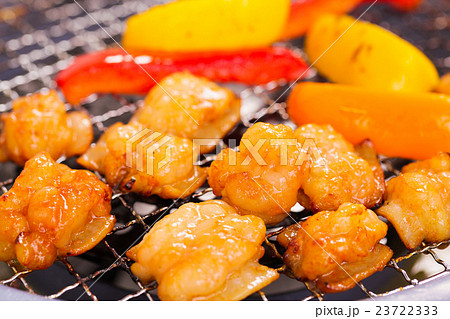 ホルモン網焼き 23722333