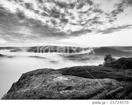 Cold misty autumn land in shadows. Rocky gulch Cold misty autumn land in shadows. Rocky gulch 23724570