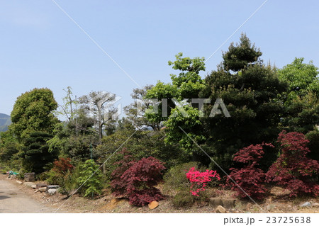 京都の植木屋さん 23725638