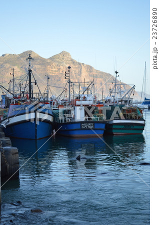 南アフリカ ケープタウンの漁港に停泊中の漁船の写真素材