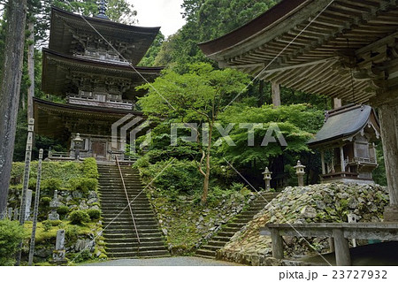明通寺 本堂 三重塔 国宝 小浜 福井 明通寺 本堂 三重塔 国宝 小浜 福井 23727932