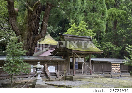 若狭姫神社 若狭姫神社 23727936