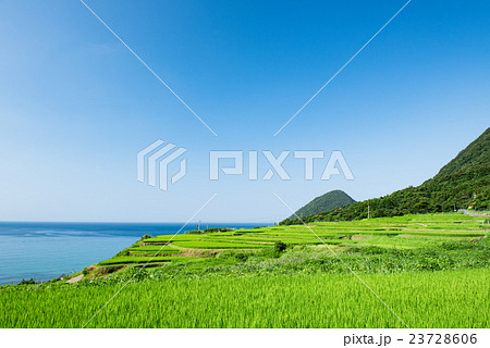 袖志の棚田 夏 袖志の棚田 夏 23728606