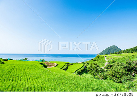 袖志の棚田 夏 袖志の棚田 夏 23728609