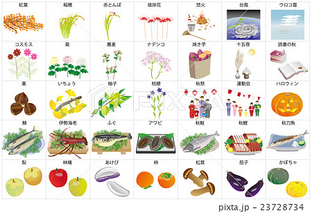 秋の風物詩枠名称 23728734
