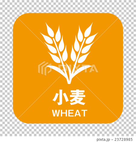 過敏的標記 過敏的標記 23728985