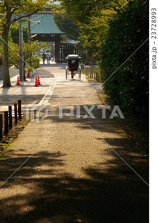 参道の人力車 参道の人力車 23728993