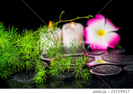 beautiful spa concept of green branch Asparagus beautiful spa concept of green branch Asparagus 23729427