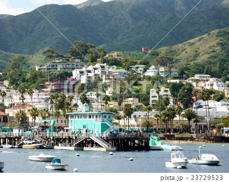 サンタカタリナ島 23729523