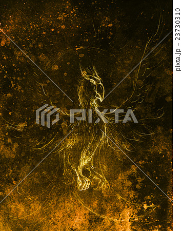 drawing of phoenix. computer collage and color 23730310