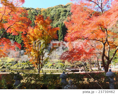 久安寺 久安寺 23730462