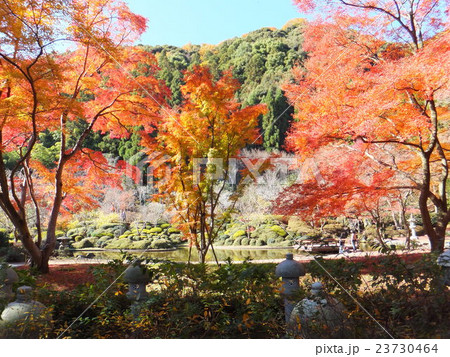 久安寺 23730464