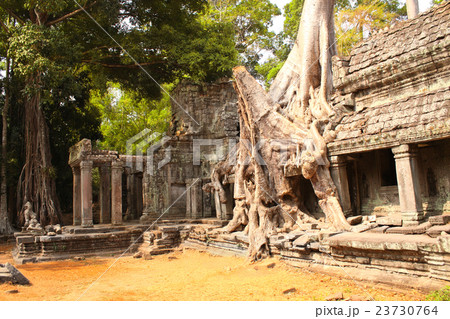 uins of temple in Angkor Wat complex, Siem Reap 23730764