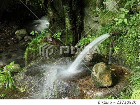 山吹水源(熊本県産山村) 山吹水源(熊本県産山村) 23730820