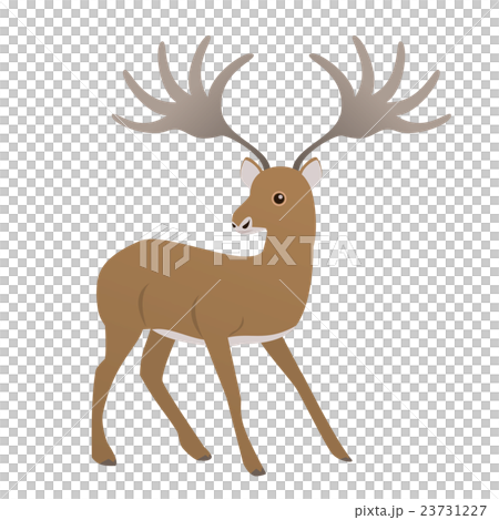 Okinoshino Oketsunoshika Okinoshino Oketsunoshika 23731227