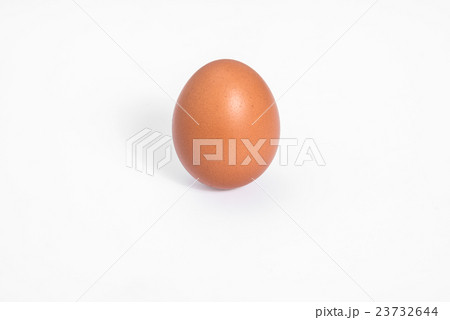 egg on white background egg on white background 23732644