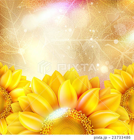 Beautiful autumn background with sun. EPS 10 23733486