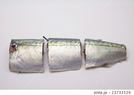 鯖 切り身 鯖 切り身 23733529