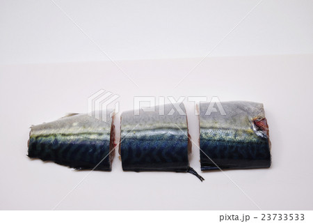 鯖 切り身 鯖 切り身 23733533