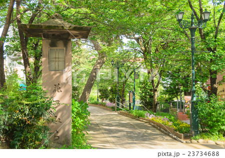 宝塚市の街並み 23734688