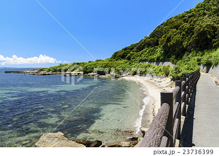 観音崎公園　岬　海辺の遊歩道 23736399