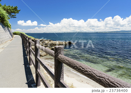 観音崎公園　海辺の遊歩道 23736400