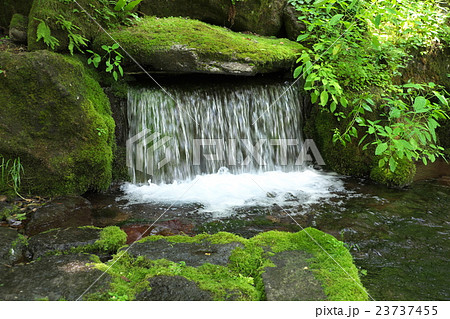 大雪旭岳源水公園 大雪旭岳源水公園 23737455