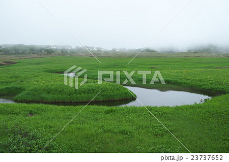 雨竜沼湿原 雨竜沼湿原 23737652